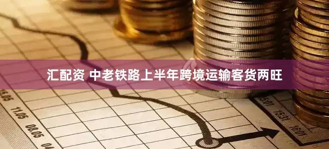 汇配资 中老铁路上半年跨境运输客货两旺