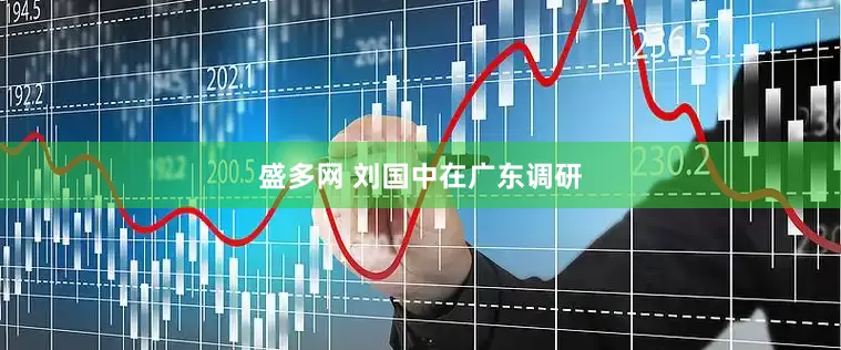 盛多网 刘国中在广东调研