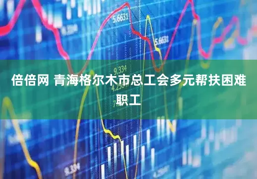 倍倍网 青海格尔木市总工会多元帮扶困难职工