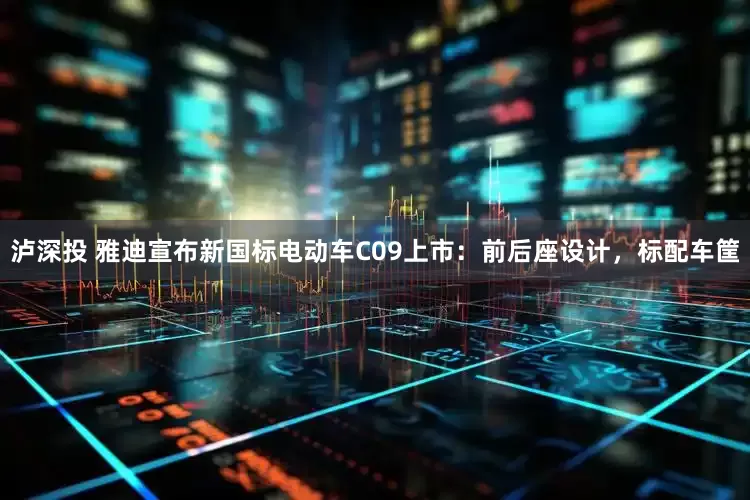 泸深投 雅迪宣布新国标电动车C09上市：前后座设计，标配车筐